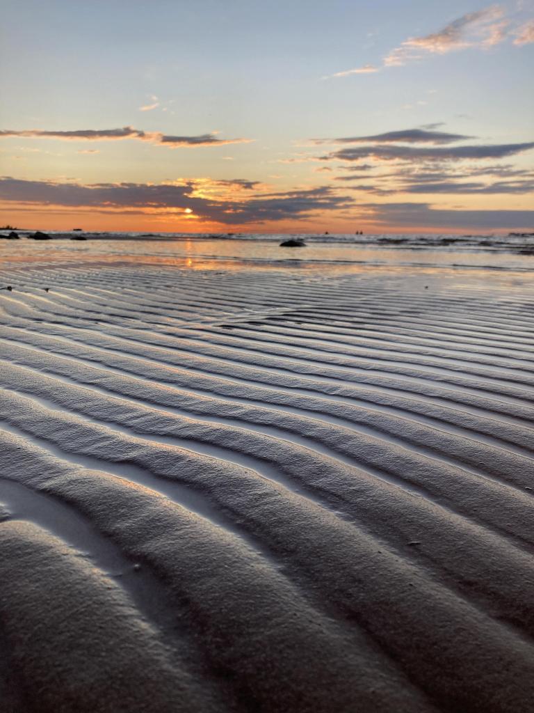 image_16_08_21_10_06.jpeg image_16_08_21_10_06.jpeg